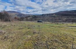 Teren de vanzare extravilan in Bistrita, 78,75 ari + anexă