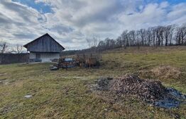 Teren de vanzare extravilan in Bistrita, 78,75 ari + anexă