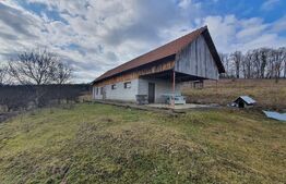 Teren de vanzare extravilan in Bistrita, 78,75 ari + anexă