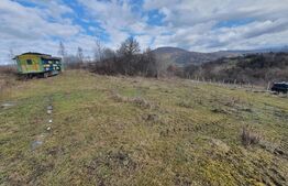 Teren de vanzare extravilan in Bistrita, 78,75 ari + anexă