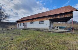 Teren de vanzare extravilan in Bistrita, 78,75 ari + anexă