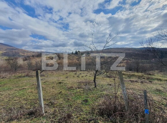 Teren de vânzare Periferie - 109472TV | BLITZ Bistriţa | Poza1
