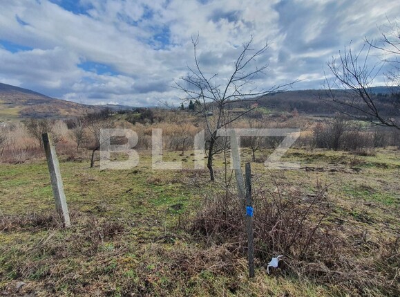 Teren de vânzare Periferie - 109472TV | BLITZ Bistriţa | Poza2