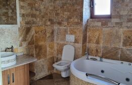 Casa de vanzare de lux, 263mp utili, 7 ari de teren, zona Dedeman! 