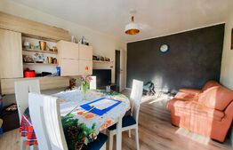 Apartament de 3 camere, insorit toata ziua - 51mp utili - Aleea Tihuta 