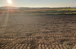 Teren de 28800MP(2.8ha). Pregatit pentru investitie! 