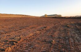 Teren de 28800MP(2.8ha). Pregatit pentru investitie! 