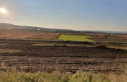 Teren de 28800MP(2.8ha). Pregatit pentru investitie! 