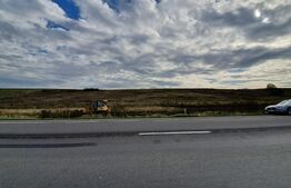 Teren de 28800MP(2.8ha). Pregatit pentru investitie! 