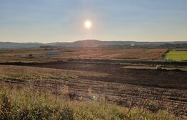 Teren de 28800MP(2.8ha). Pregatit pentru investitie! 