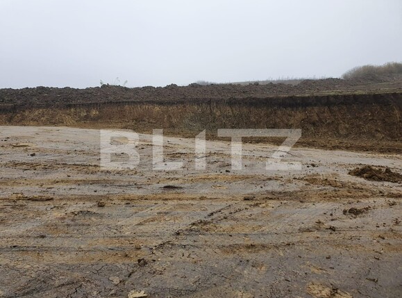 Teren de vânzare Nord-Vest - 110953TV | BLITZ Bistriţa | Poza10