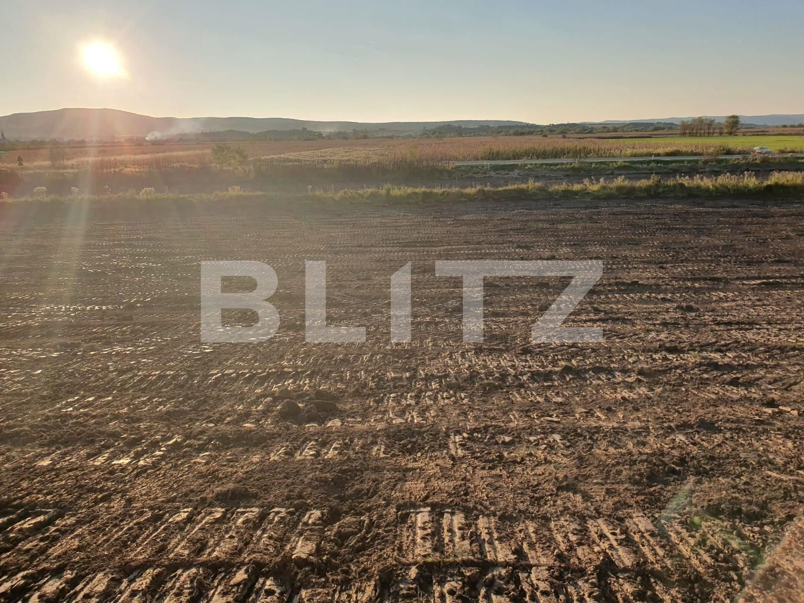Teren de vânzare Nord-Vest - 110953TV | BLITZ Bistriţa | Poza4