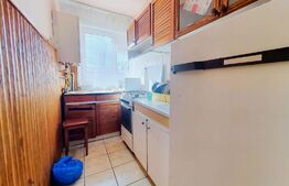 Apartament de 2 camere, 40mp utili, renovabil, str. Mesteacanului