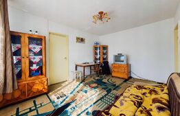Apartament de 2 camere, 40mp utili, renovabil, str. Mesteacanului