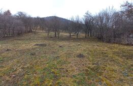 Teren extravilan 1500mp,Valea Rusului