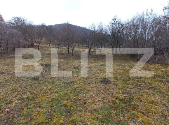 Teren de vânzare Exterior Nord - 111220TV | BLITZ Bistriţa | Poza1