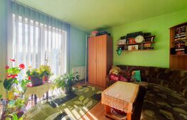 Apartament de 3 camere in Viisoara, insorit toata ziua, cu garaj si parcare! 
