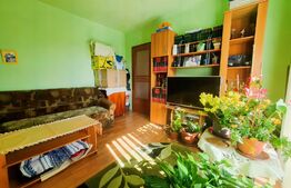 Apartament de 3 camere in Viisoara, insorit toata ziua, cu garaj si parcare! 