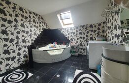 Casa duplex in Unirea, 6 dormitoare, 320 mp utili per unitate  