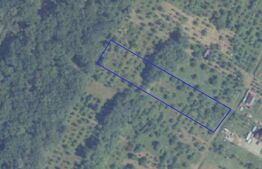 Teren de 30ari in Unirea cu proiect de casa