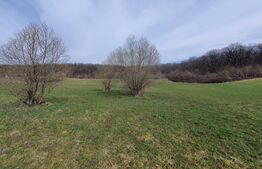 Teren de vanzare extravilan, 1ha, drumul Sigmirului 