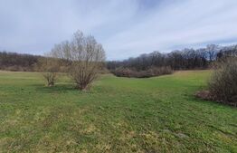 Teren de vanzare extravilan, 1ha, drumul Sigmirului 