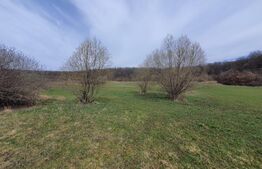 Teren de vanzare extravilan, 1ha, drumul Sigmirului 