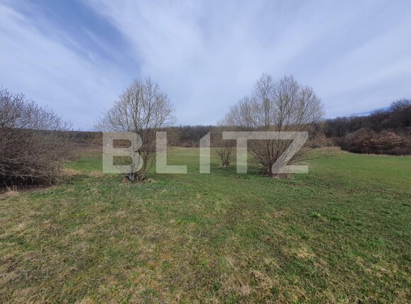 Teren de vânzare Centura - 112343TV | BLITZ Bistriţa | Poza1