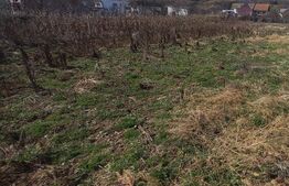 Teren intravilan 1200mp,intre pasarela si Viisoara