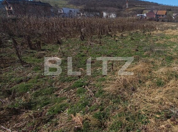 Teren de vânzare Viișoara - 112414TV | BLITZ Bistriţa | Poza1