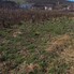 Teren de vânzare Viișoara - 112414TV - Poza 1 din 1 | BLITZ Bistriţa | Poza1