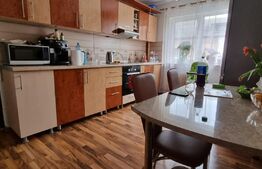 Apartament de 2 camere in Andrei Muresanu