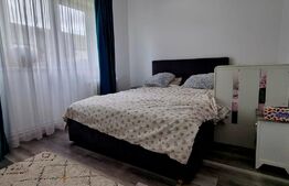 Apartament de 2 camere in Andrei Muresanu