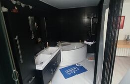 Casa de locuit cu 7spatii de birouri, Zona Centrala