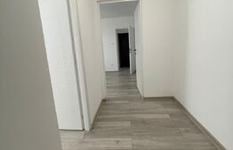 Apartament 2 camere la parter, pretabil si ca spatiu comercial 50mp