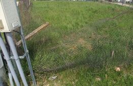 Teren intravilan 1000mp, zona linistita, Viisoara