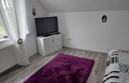 Casa spatioasa, pe teren de 680 mp, zona Centura