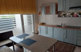 Casa spatioasa, pe teren de 680 mp, zona Centura