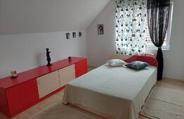 Casa spatioasa, pe teren de 680 mp, zona Centura