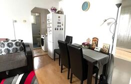 Apartament de 2 camere, suprafata utila 40 mp, zonă Centrală