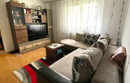 Apartament de 2 camere, suprafata utila 40 mp, zonă Centrală