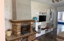 Casa 4 camere, 110mp, zona linistita, teren 1000 mp, la 15 km de Bistrita