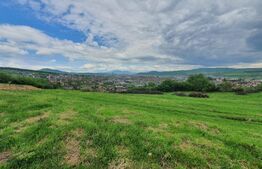 Teren intravilan, 1000mp, Centura