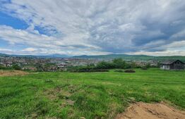 Teren intravilan, 1000mp, Centura