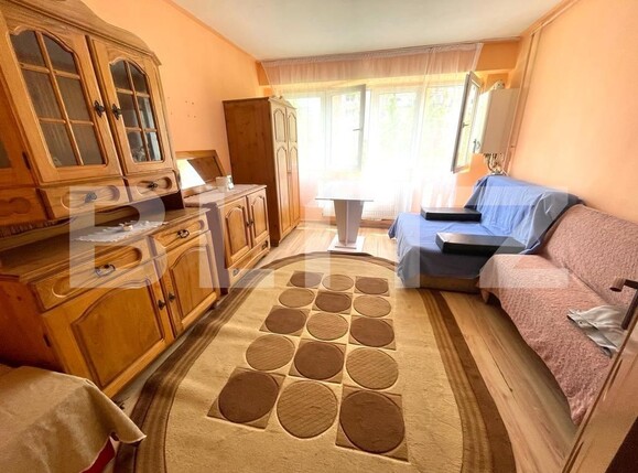 Garsonieră de vânzare Independenței - 115654AV | BLITZ Bistriţa | Poza1