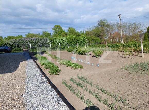 Casa de vânzare 4 camere Exterior Vest - 115737CV | BLITZ Bistriţa | Poza10