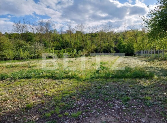 Casa de vânzare 4 camere Exterior Vest - 115737CV | BLITZ Bistriţa | Poza9