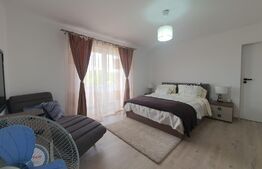 Apartament de 3 camere, 70 mp utili + 2 balcoane, mobilat si utilat, Centura