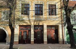 2 case in aceasi curte, 8 camere, 800mp, intrare de pe 2 strazi de zona Centru istoric