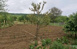 Casa 3 camere, la 20 km de Bistrita + afacere (magazin mixt in curte), 70mp, Exterior Est